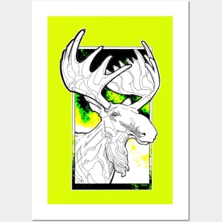 white moose in aurora borealis Posters and Art